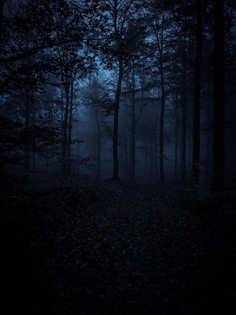 Mysterious Paths